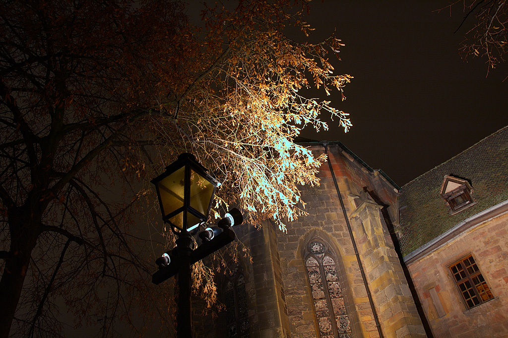 Syndrome du jumeau fantôme