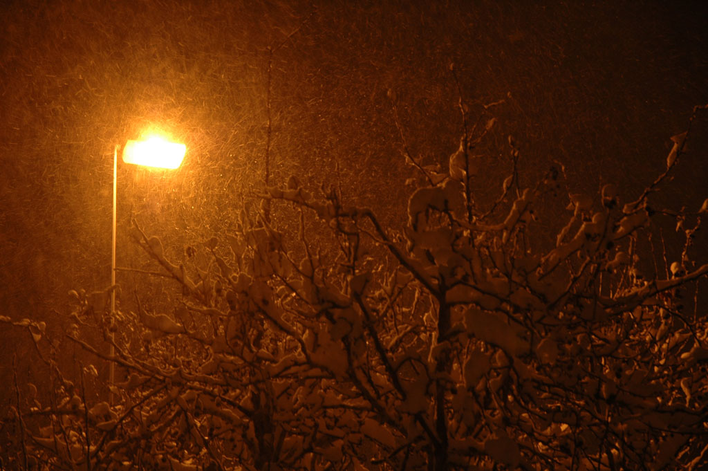 concours artistique de la Ville de Colmar pour promouvoir la création artistique à Colmar