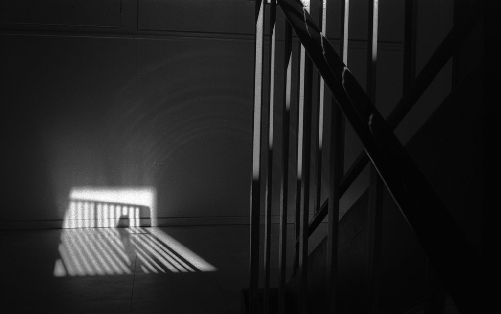 Syndrome du jumeau fantôme