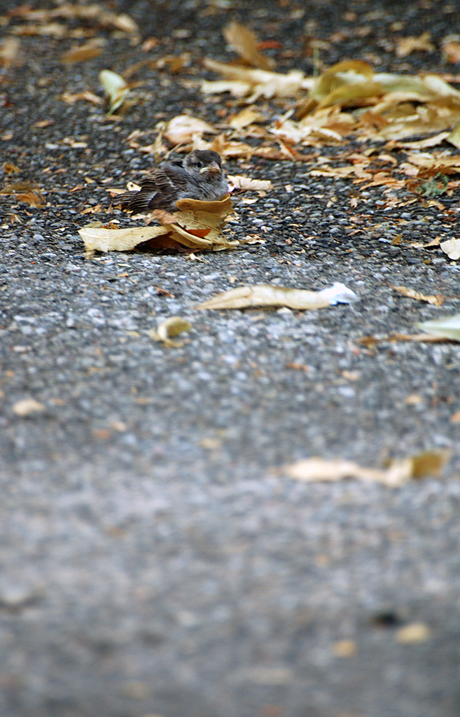 concours photo FNAC "Qui êtes-vous ? "