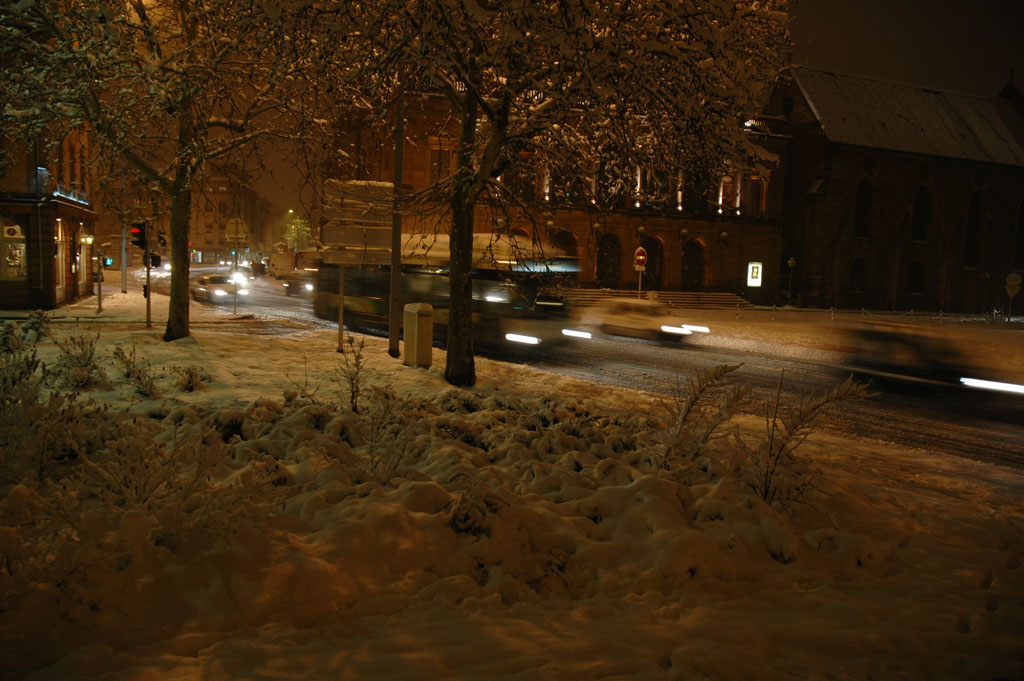 Syndrome du jumeau fantôme
