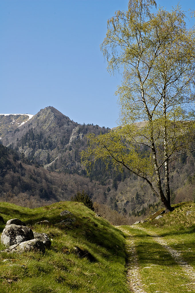 C'est de la torture, j'ai faim moi