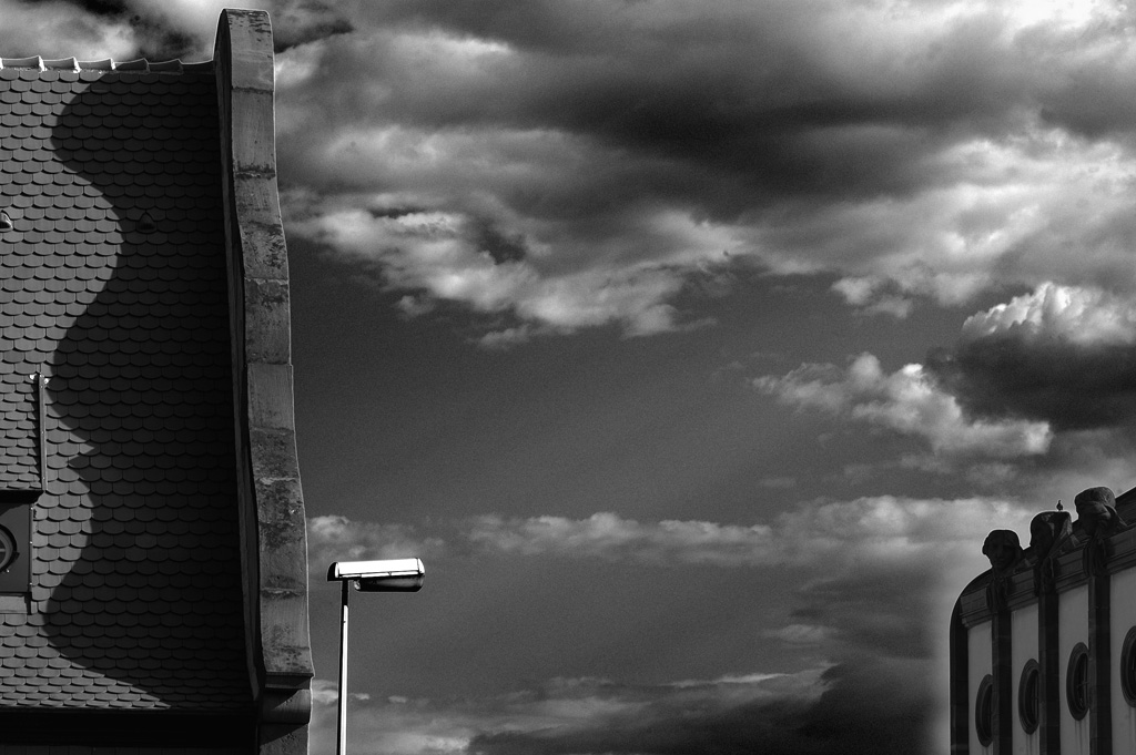 Syndrome du jumeau fantôme